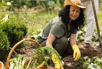 Licenciamento Ambiental de Atividades Rurais
